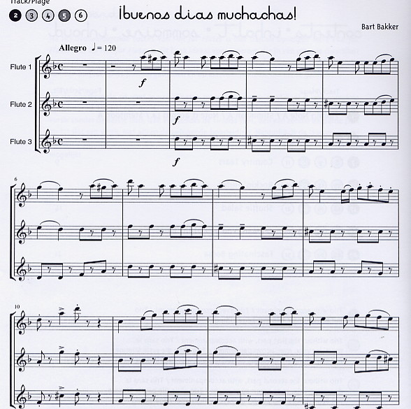 More Fun for Flutes - 6 Playalong Trios